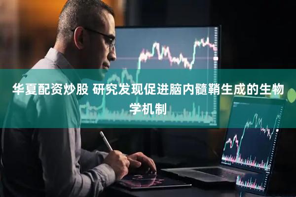 华夏配资炒股 研究发现促进脑内髓鞘生成的生物学机制